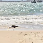 Conforto 2 Quadras Da Praia Em Canasvieiras N539